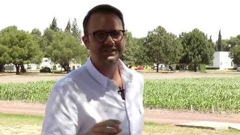 Lennart Woltering and Scaling