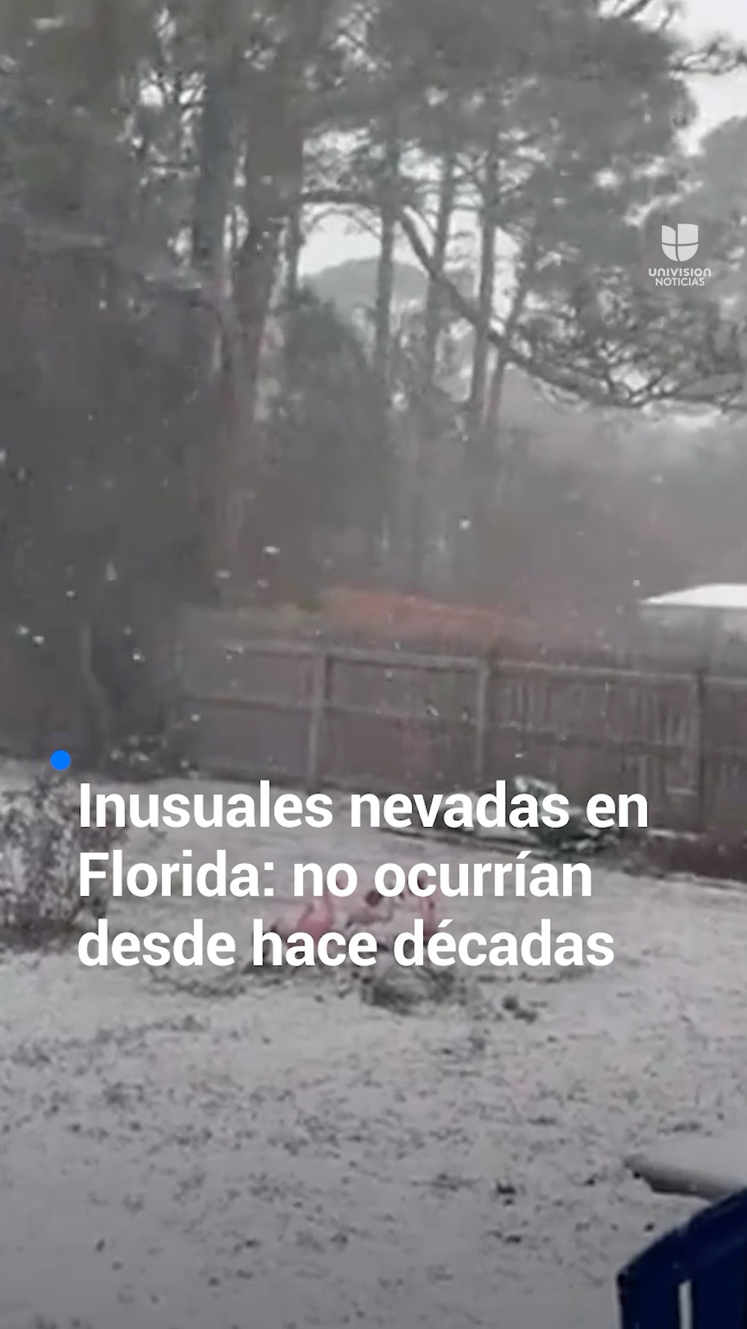 Las inusuales nevadas en Florida que no ocurrían desde hace décadas