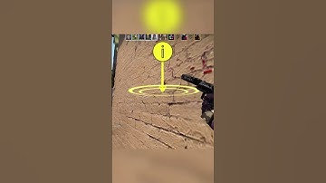 Walk bots be like #shorts