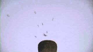 Thousands of Vaux's Swifts entering chimney! by KJWVideo 2,009 views 11 years ago 1 minute, 41 seconds