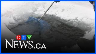 Barries Fishing Industry Reels In Record Growth As Market Soars