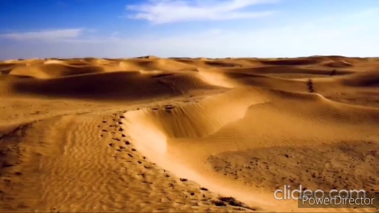 Dall'Aurora Io Cerco Te Fino Al Tramonto (Video)