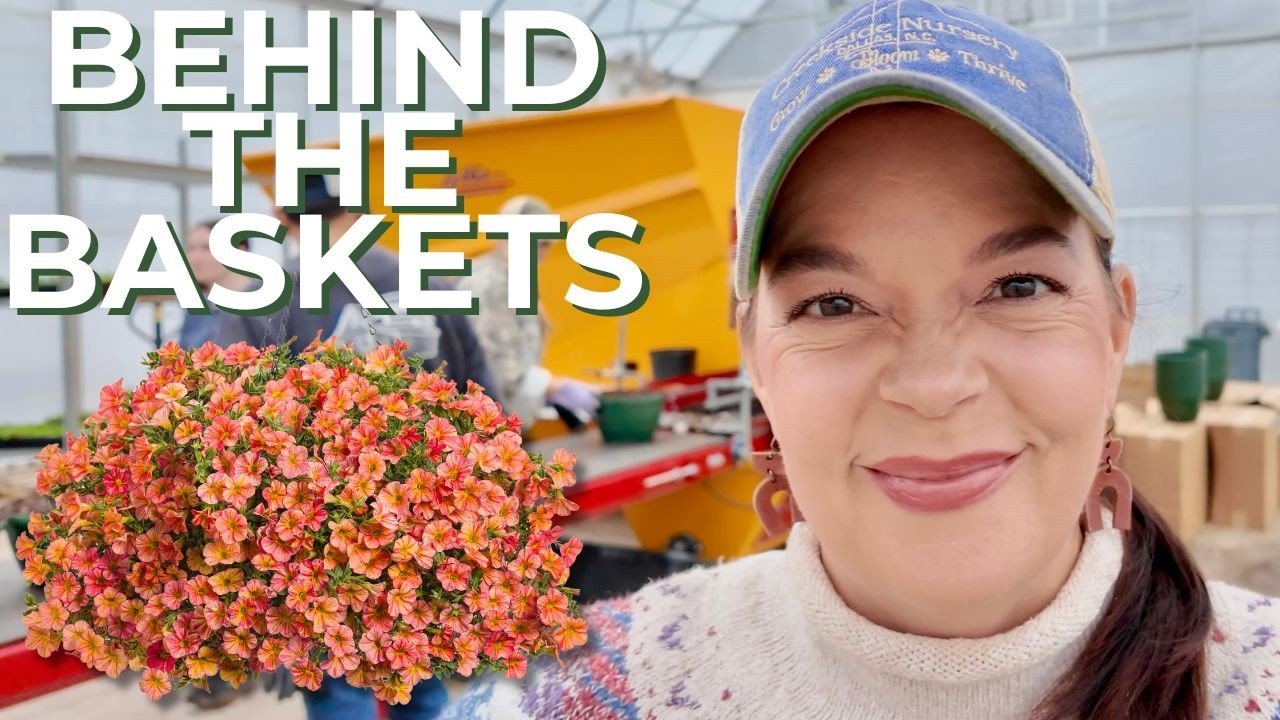 From Greenhouse to Garden: How Our Hanging Baskets Are Made