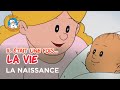 Il tait une fois la vie  la naissance 