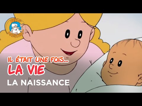 Vidéo: La vie est-elle née plus d'une fois ?