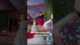 Gus Gus Meets Cinderella At Disneyland