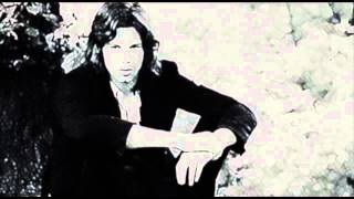 Nick Drake - Hazey Jane II