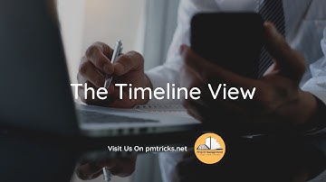 Boosting your project presentations with the timeline view (MS Project tip)