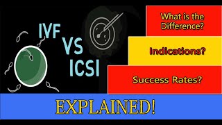 What is the Difference Between IVF and ICSI | Indications, Success Rates