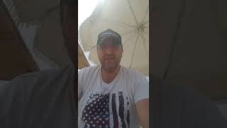 Ormanları Nasıl Yakıyorlar Resimi