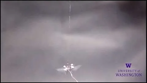 Robofly design: walking, flying, and landing, IROS2018