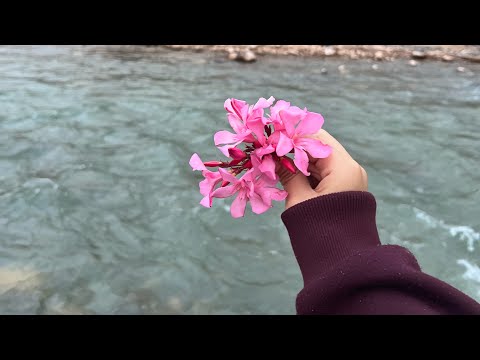 بدأت قناة " leilaworld🌍عالم ليلى" بثًا مباشرًا