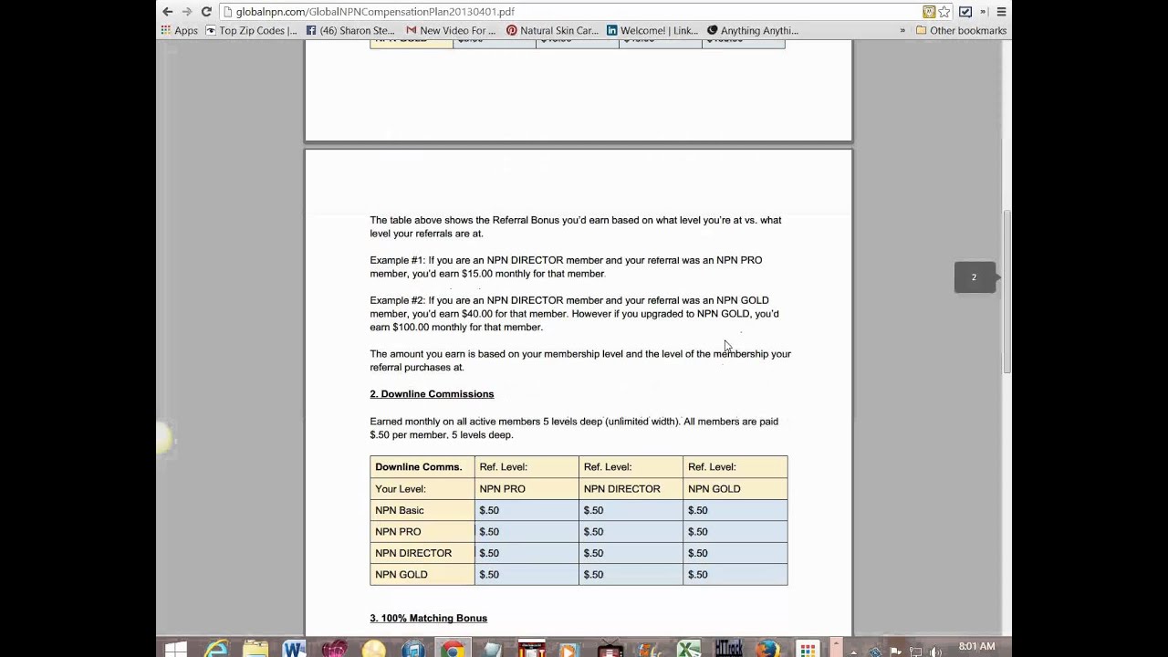 Global NPN Comp Plan Overview