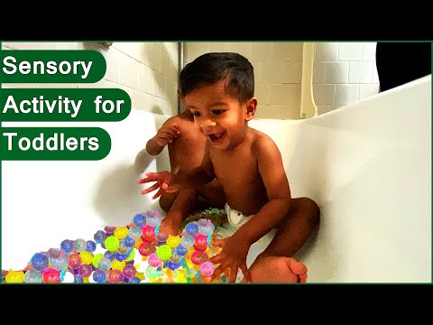 Kids Sensory Play Activity with Water Orbeez I Kids Learning Lab