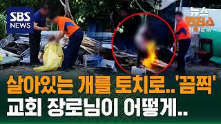 [Case Why] Pointing a 'blowtorch' at a living dog / SBS / News Hunters screenshot 4