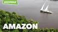 Amazon Ormanları ile ilgili video