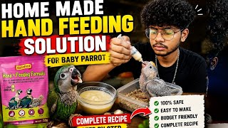Baby Parrot Hand Feeding Formula at Home 🐦 | Complete Recipe Step by Step