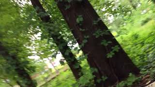 A4B787D6 Be9A 46D5 A686 0F03C2881B5E