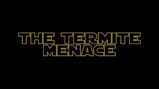 How to Protect Your Trees From Termites