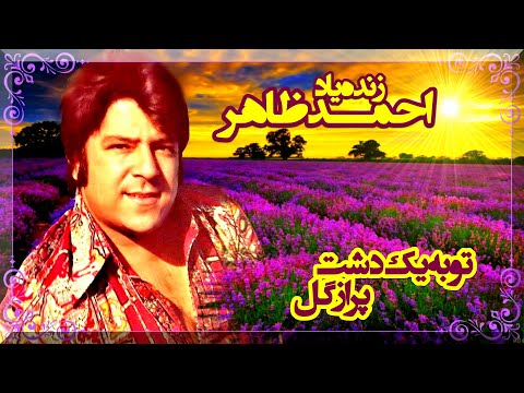 Ahmad Zahir تو به یک دشت پر از گل 