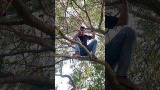 kitna Sundar Jungle Hai || mini vlog