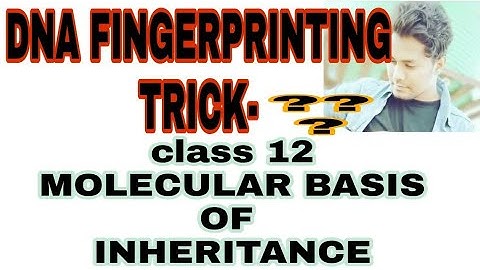 Tricks to learn step of DNA FINGERPRINTING/CLASS 12/NEET/MOLECULAR BASIS OF INHERITANCE