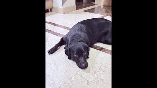 Candy game khelne ja rahi hai screenshot 5