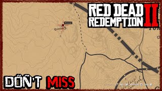 RDR2 This Rare Thing Led Me To A Cave Red Dead Redemption 2