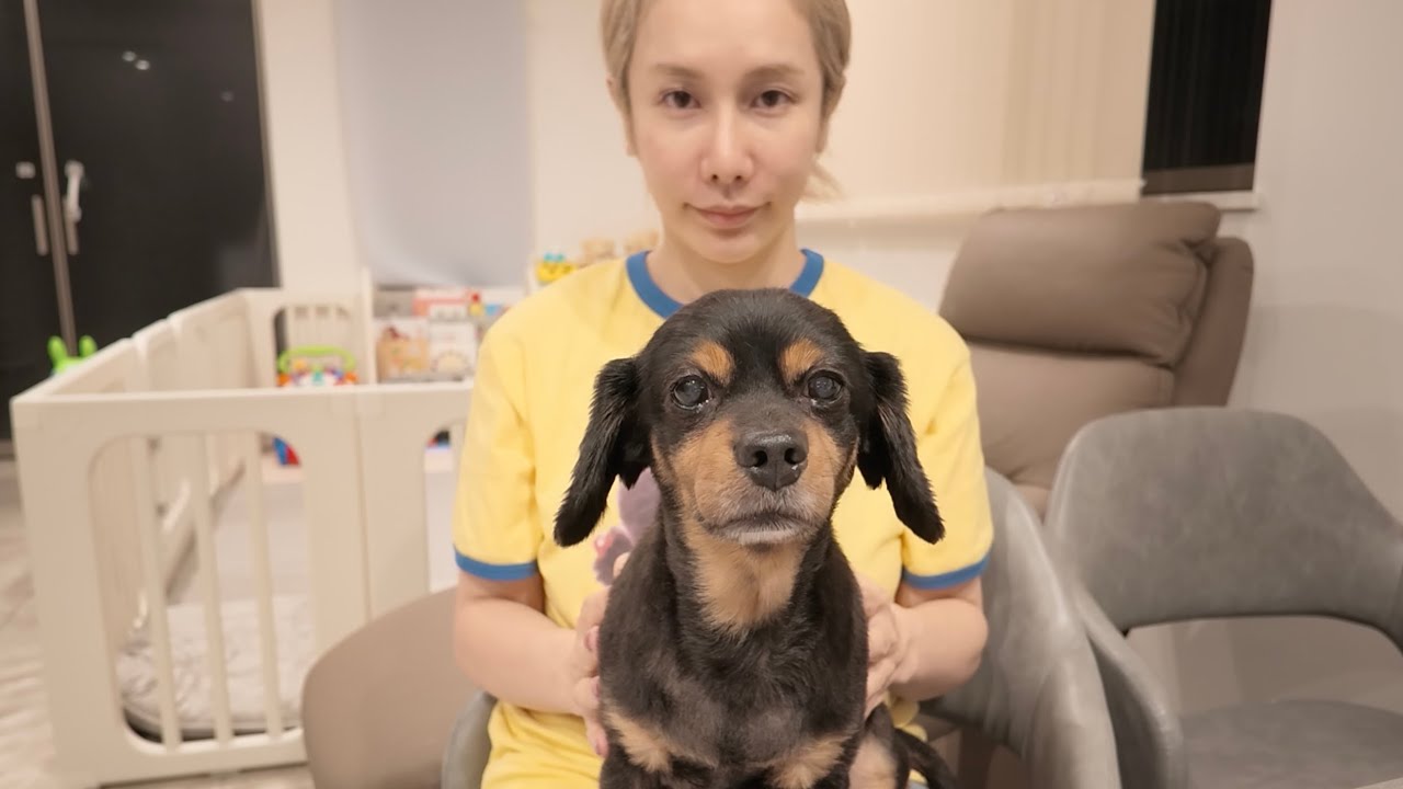 12歳のごたんくんの病気について
