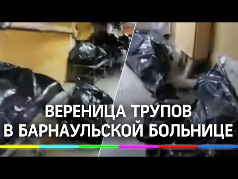 Вереница трупов: в барнаульской больнице проверяют жуткое видео