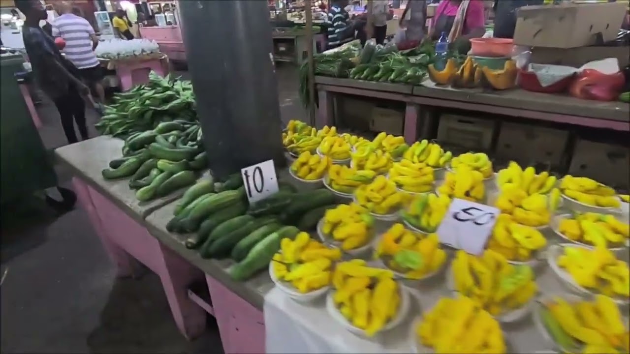 Surinam por un argentino. Paramaribo. Sinagoga. Catedral. New Nickerie