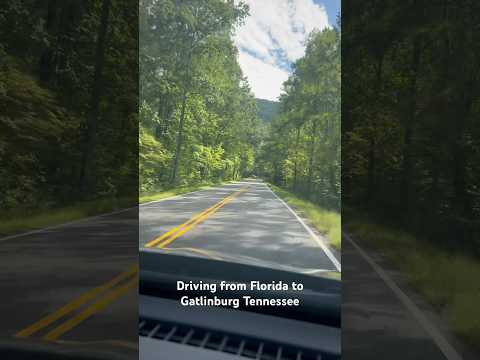 Roadtrip from Florida to Tennessee #florida #gatlinburg #tennessee #roadtrip #family #love #shorts