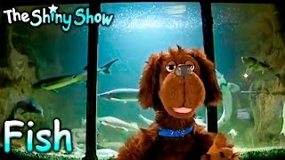 The Shiny Show  Sealife  S2e26