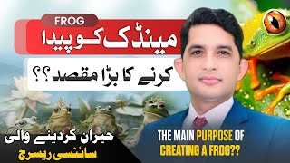 Why Did Allah Create The Frog | Frogs in Islam: A Sign of Allah’s Wisdom | Asad Mehmood
