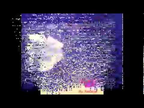 QUEENSEA BAND Cinta Tak Mengenal Setia