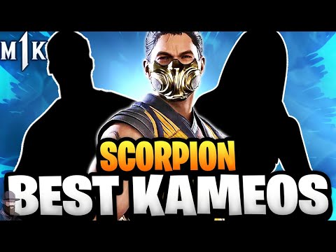 The Best Kameos for SCORPION | Mortal Kombat 1
