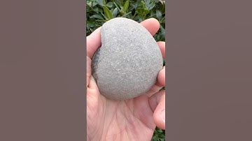 Fossil flip! Gorgeous Grammoceras ammonite from the Yorkshire Jurassic Coast in the U.K. Fossils UK