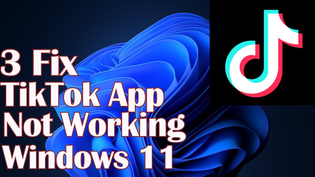 TikTok App Not Working in Windows 11 - 3 Fix