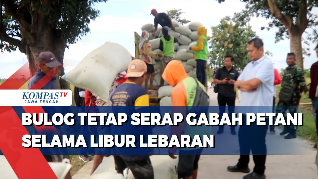 Bulog Tetap Serap Gabah Petani Selama Libur Lebaran