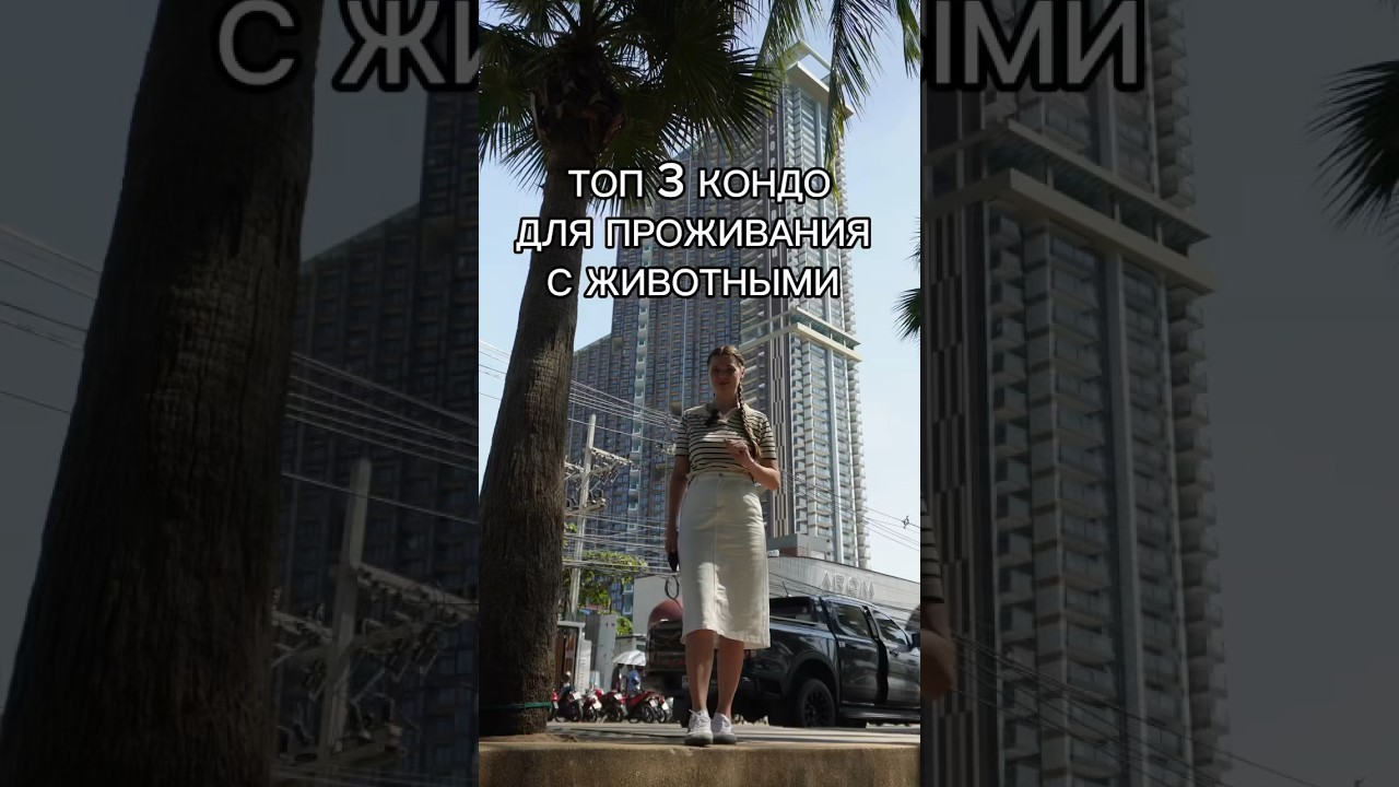 Топ 3 КОНДО В ПАТТАЙЕ, для проживания с животными  