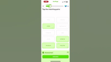 Let’s learn Italian with Duolingo #beginner section 4: trailblazer unit 8 #italy