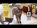 ズー社長の1日に密着!!社長さすがやわぁ…🧡