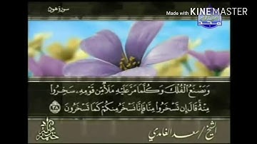 سورة هود - من آية ( ٣٨ ) إلى آية ( ٤٥ ) - للقارئ : سعد الغامدي .