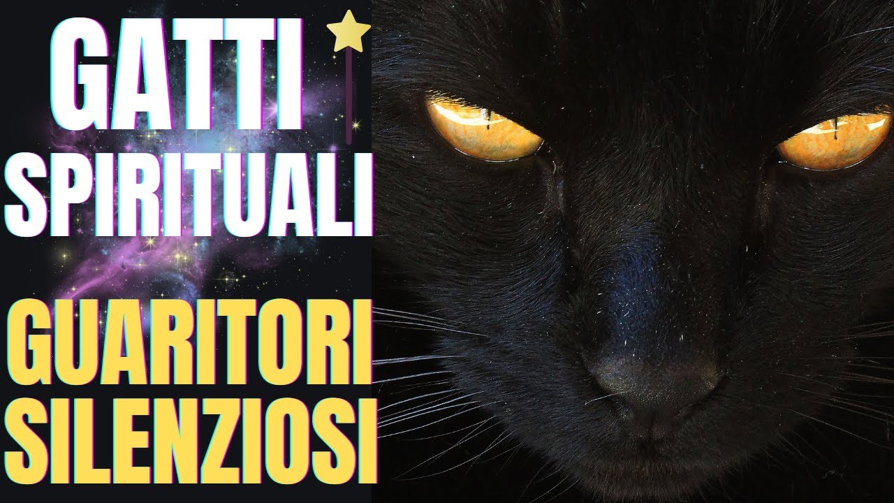 ENERGIA FELINA: GUARIGIONE ED ARMONIA ✨