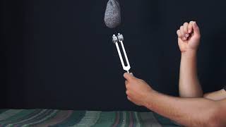 Knock On Stuff: The Tuning Fork (C3 / 131 Hz)