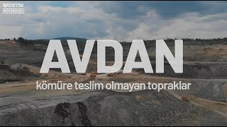 Avdan Kömüre Teslim Olmayan Topraklar