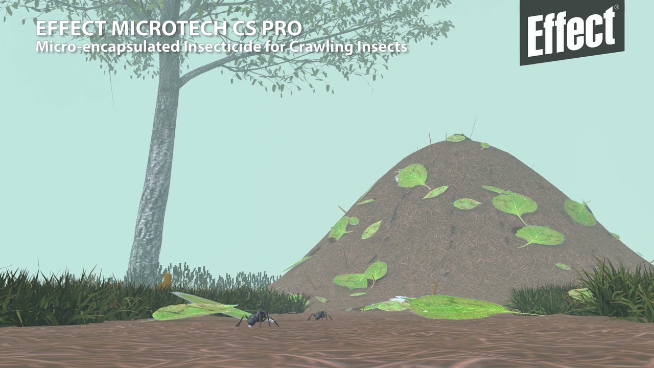 EFFECT MICROTECH CS PRO - highly EFFECTive micro-encapsulated Insecticide for Crawling Insects