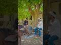 🌾waitforend💡 ￼#shorts #reels #trending #tiktok #reels #edit #farming #kisan #villagelife #india🌿