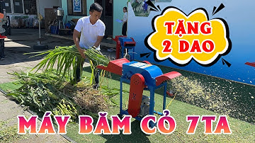 Máy Băm Cỏ 7TA Băm Cỏ Cho Dê Siêu Nhanh Bình Quân Group