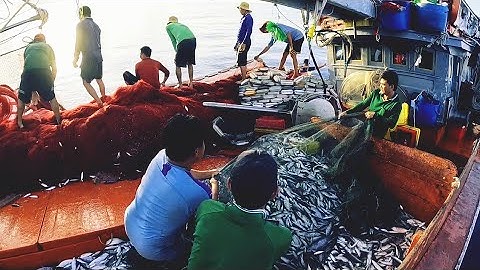 Nước chảy xấu, nghề lưới rút là việc khó khăn khi thả lưới | Đánh cá 2024-Tập 89 |Sóng biển Hứa Đông